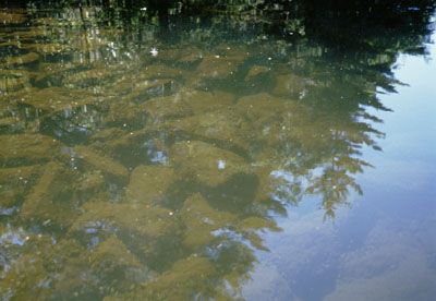 Underwater rocks and reflection