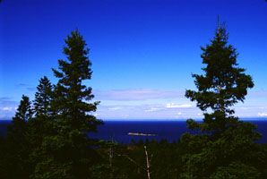 Island framed by trees