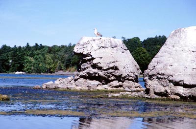 Odd pylons south of Crown Point